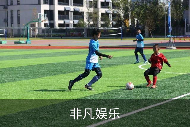 关于非凡娱乐